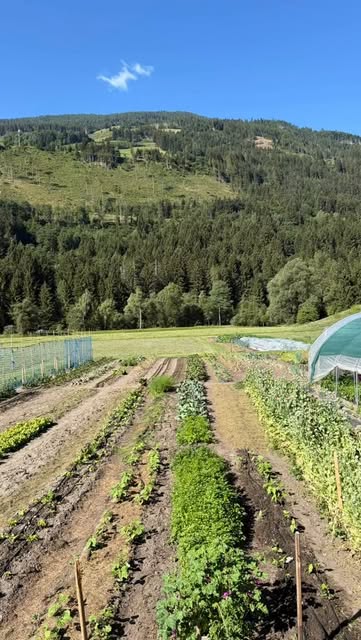Gemüsebeete der Gemüseschmiede vor der Berglandschaft